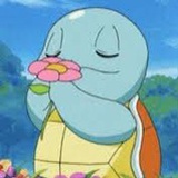拈花龟笑