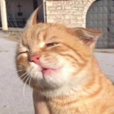 喝点水