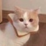 灵魂发热