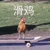 滑稽🌚