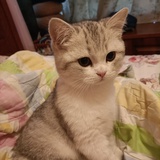 风吹草动