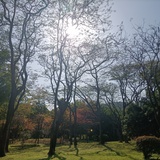 默