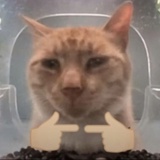 今天一定早睡