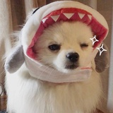 打眼