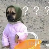 洛落落