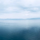 醒