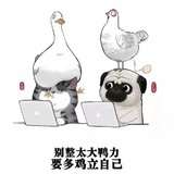 就爱凑热闹