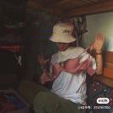 梨.