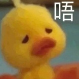 我是猪