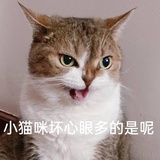 小甜饼