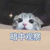 Ccc