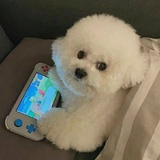 扶桑