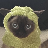 哎哟哟～