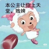 qaq丸子