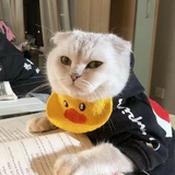 豆友231604427