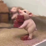 0度三维