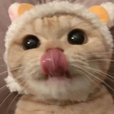 咿呀咿呀哟