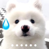 水月