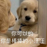 一克拉的眼泪