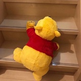 LC