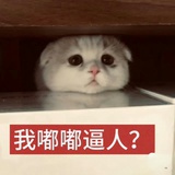 我们互相在假装