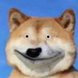 大璇