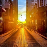 雪山运动的梭罗