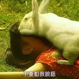 三小花