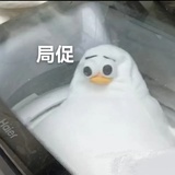 苏珊不苏珊💦