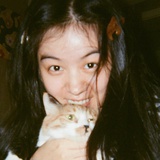 十二月点燃大雪