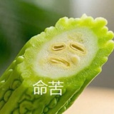 苦昼短