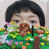 咲蓮華