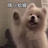 奈川北