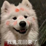 我鬼混回来了