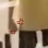 抓马马马马