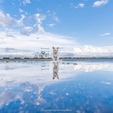 江湖