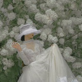 Rose alba