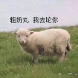 小羊