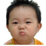 北冥有鱼