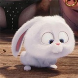 兔兔那么可爱