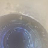 东流海