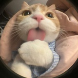 大雾四起