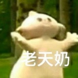 应拭雪