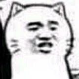 不知道取啥名
