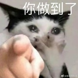 鲸鱼草