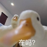 问题多多