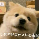铁锅炖小猫