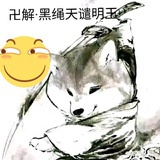 锦鲤附身