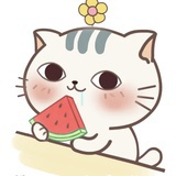 吃瓜🍉小萌新