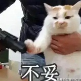 江湖骗子？